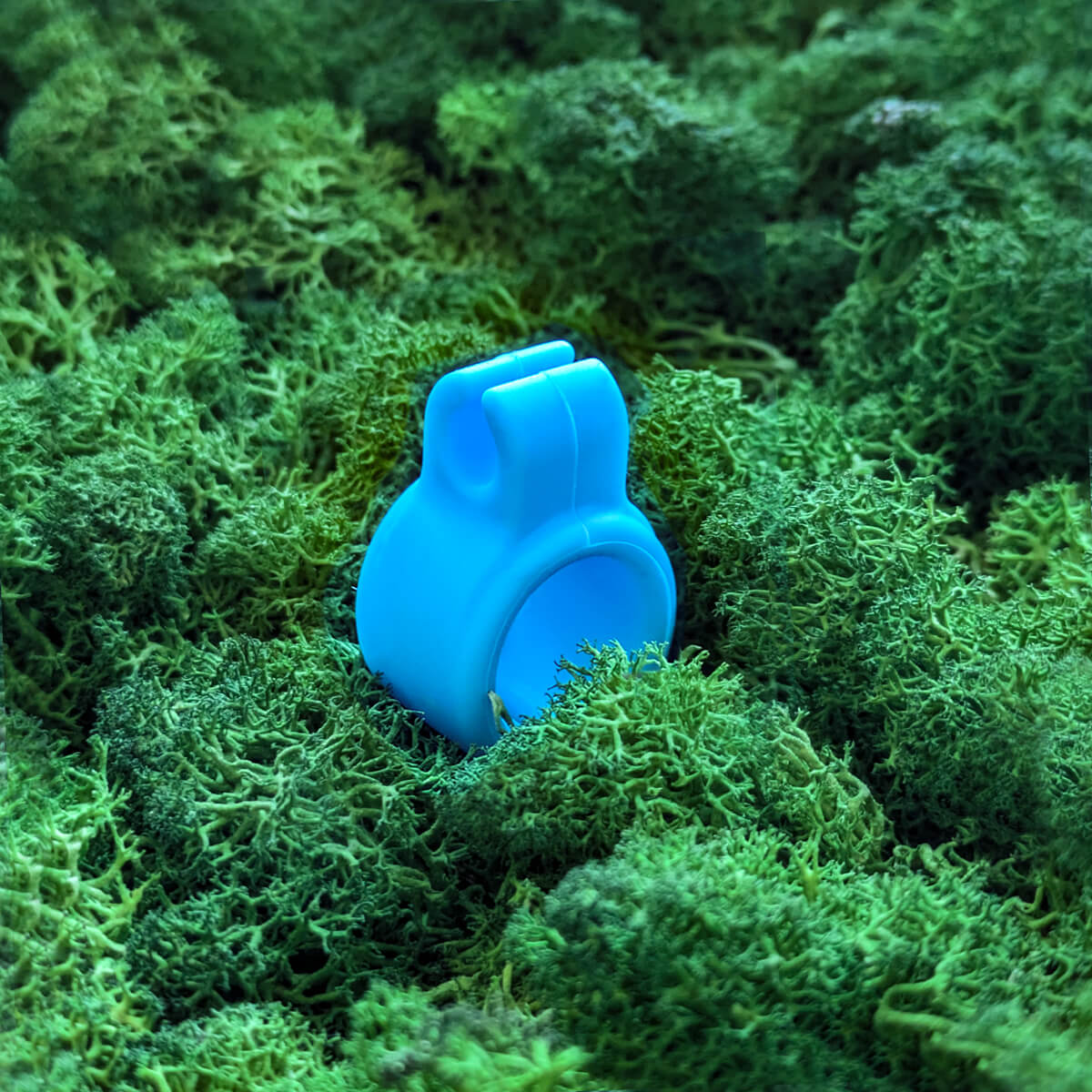 anello porta joint - azzurro