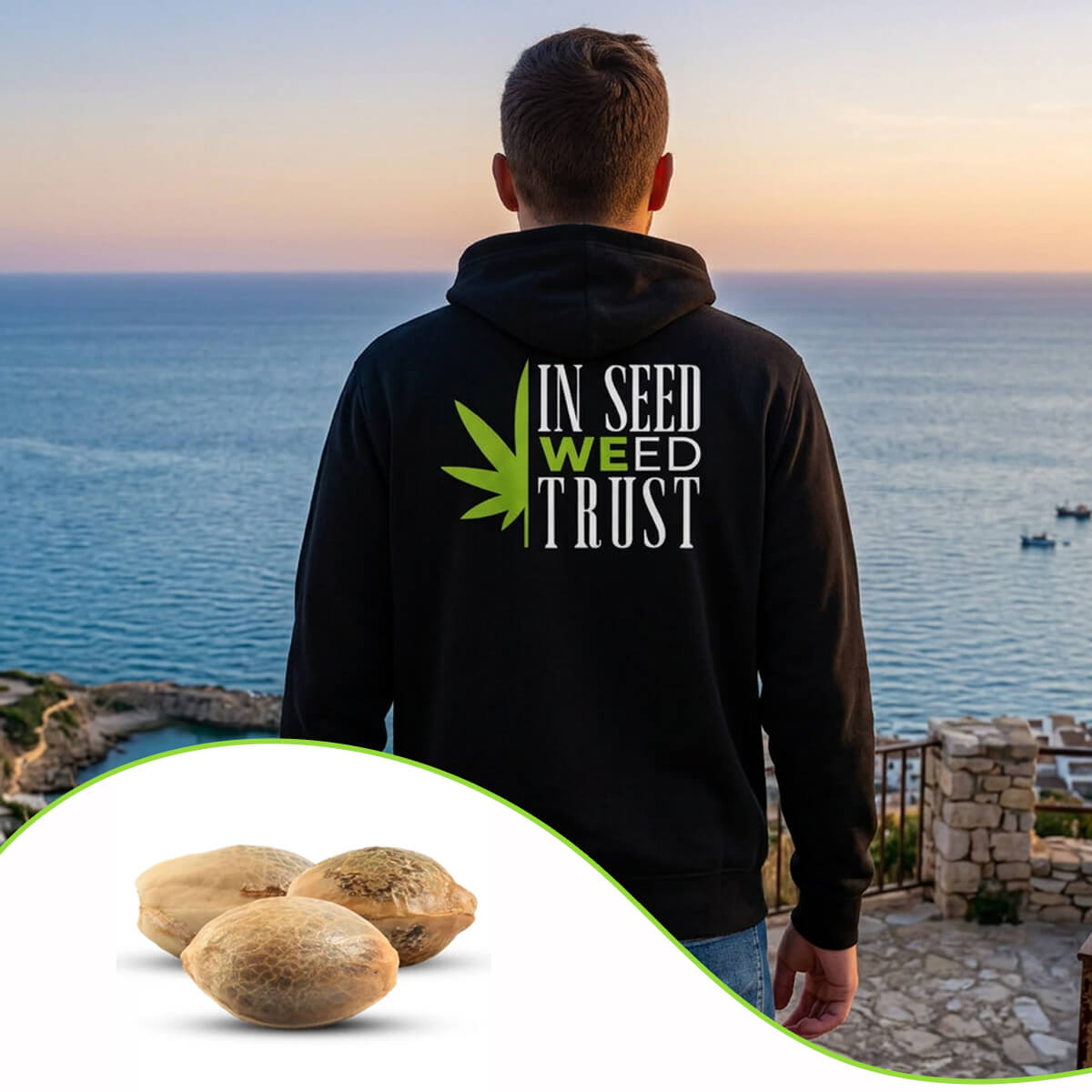 semi di cannabis felpa in seed weed trust