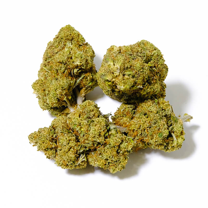honey cheese cbd