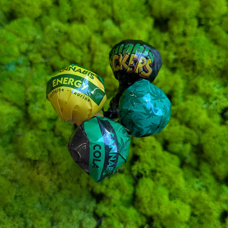 lollipop gusto cannabis