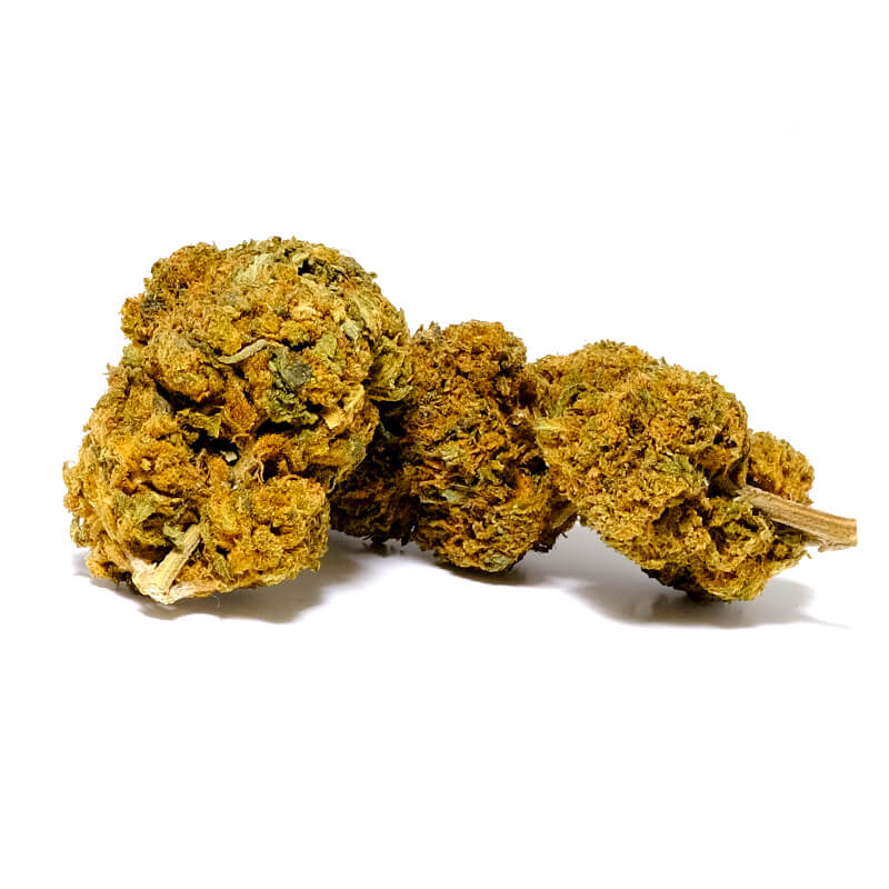 skunk