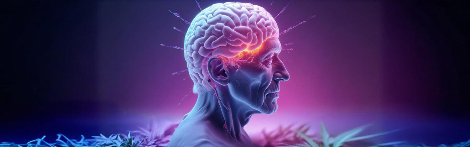 cbd sintomi alzheimer