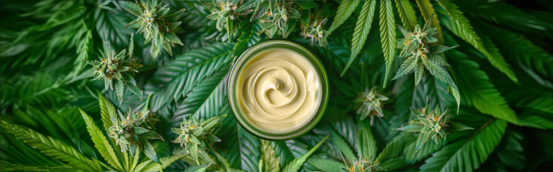 articolo cbd nella dermatologia