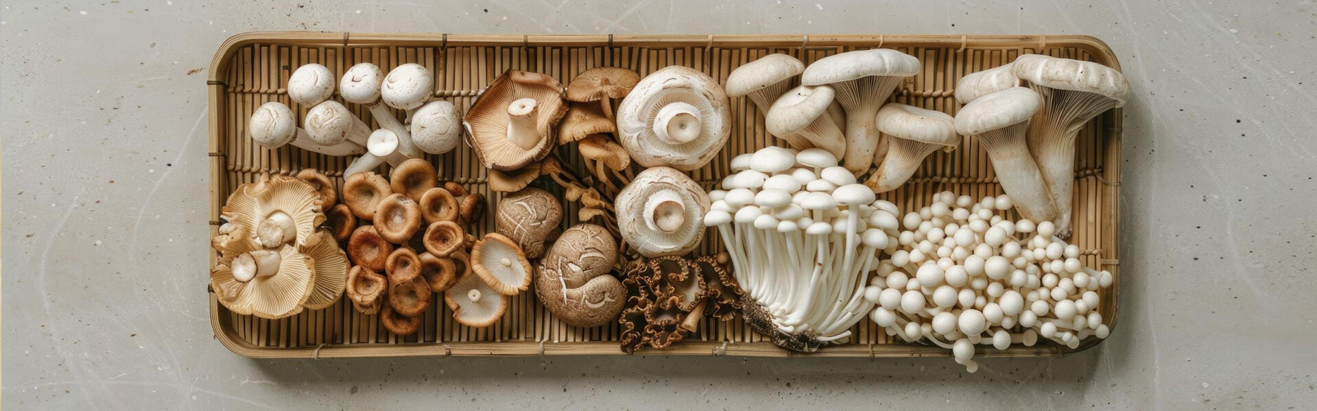 potere dei funghi