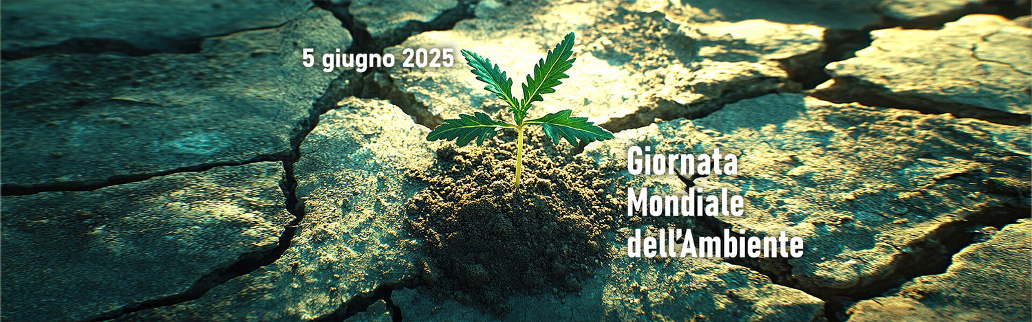 giornata mondiale ambiente canapa