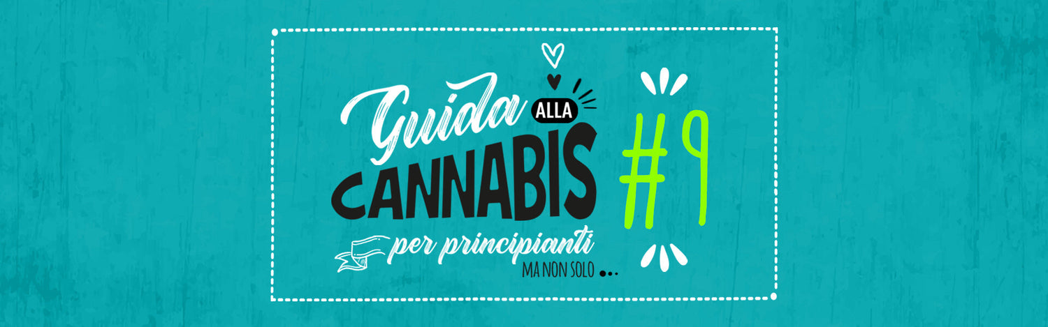 guida cannabis episodio 9