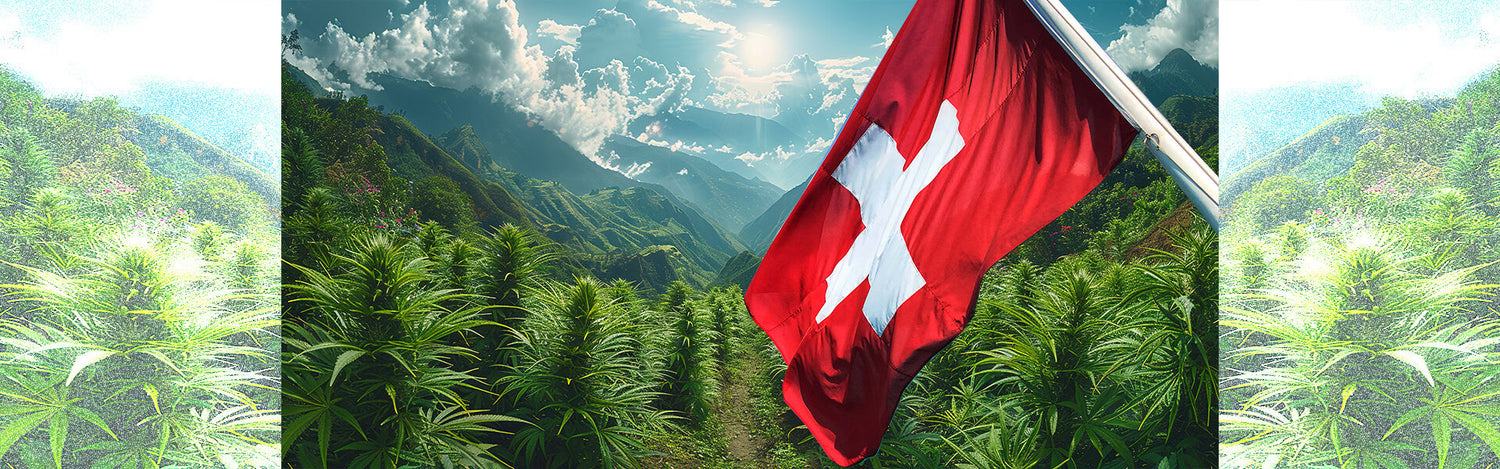 svizzera legalizzazione