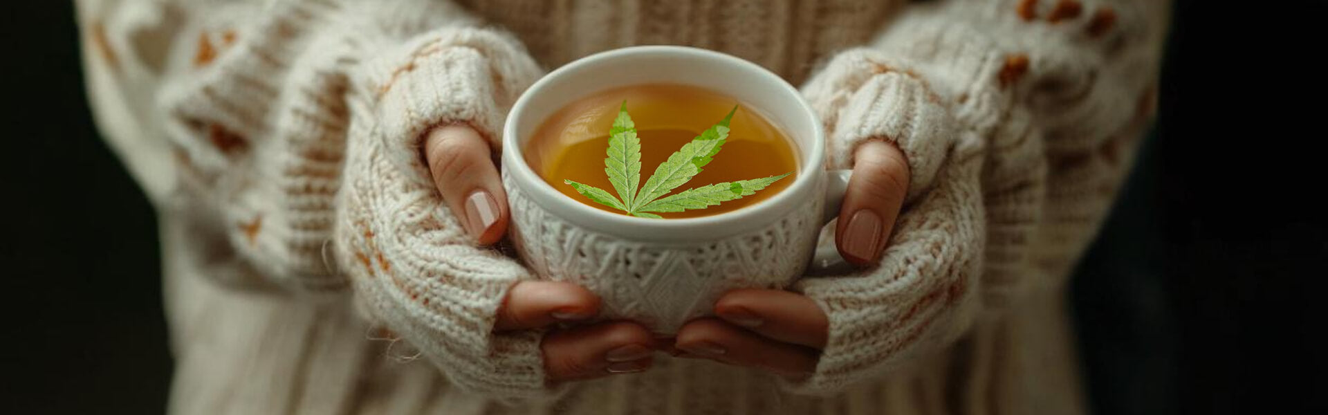 tisane canapa