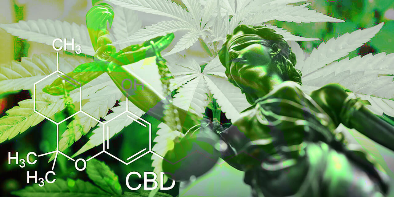 Cbd Udienza TAR