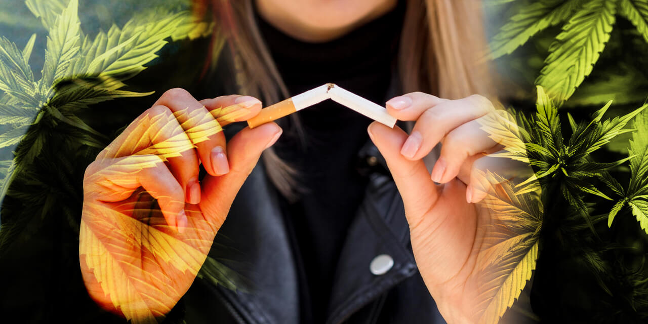 Cbd e tabagismo
