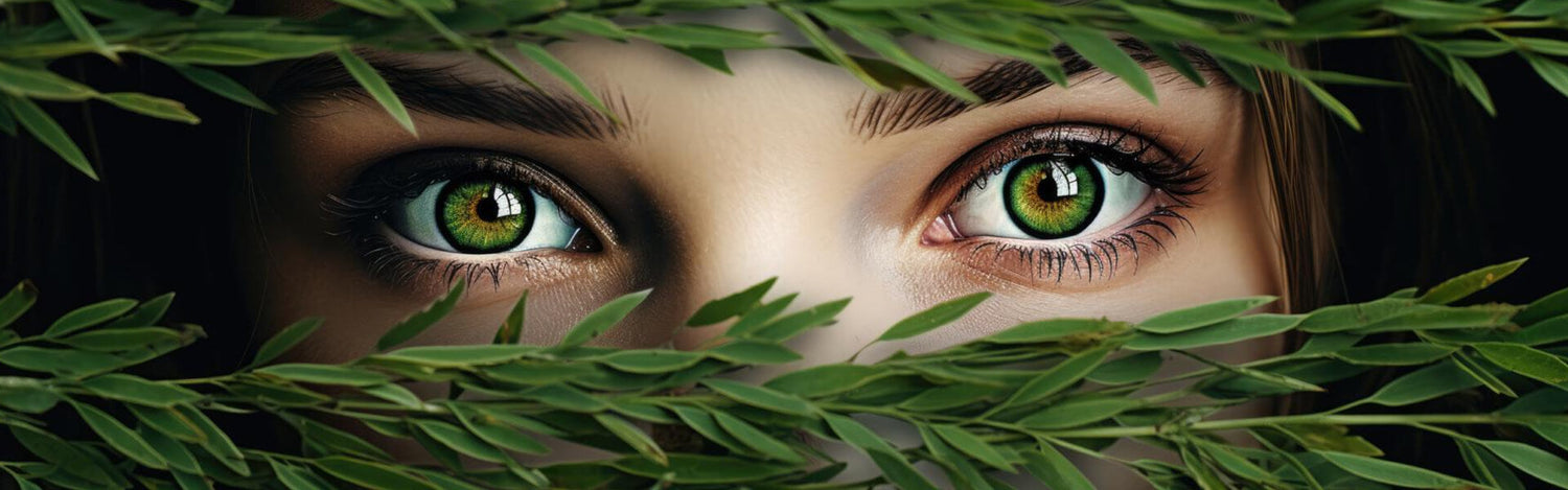cannabis e glaucoma