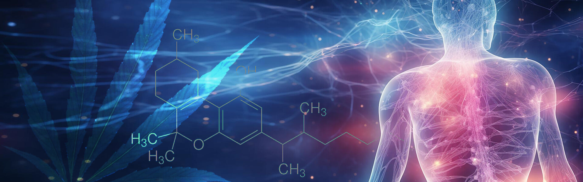 cbd e fibromialgia