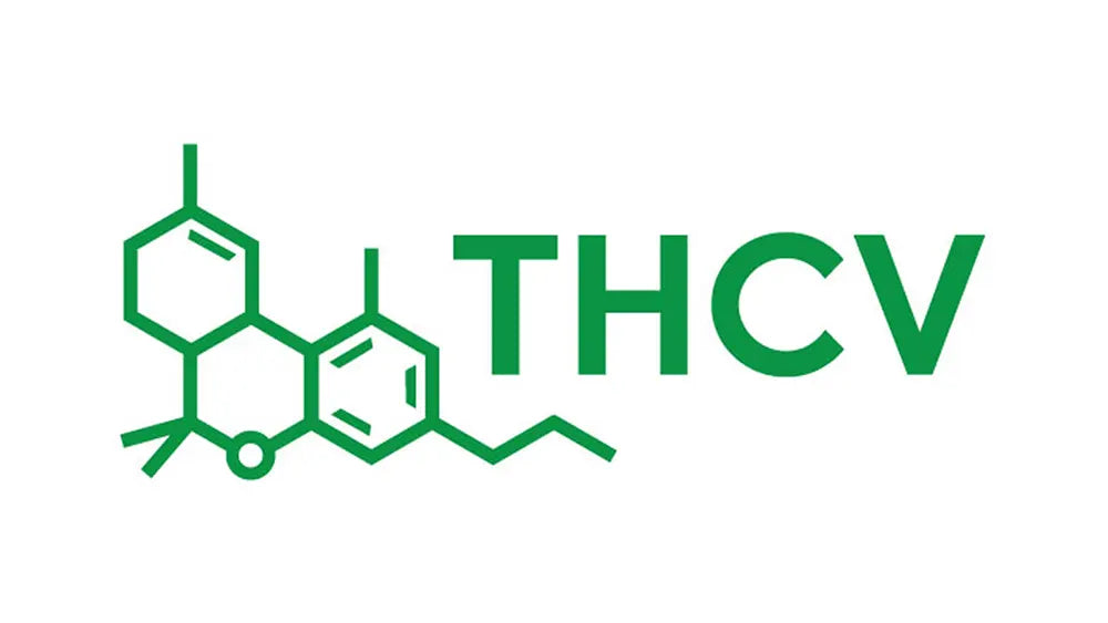 THCV: il prossimo cannabinoide al centro della ricerca scientifica