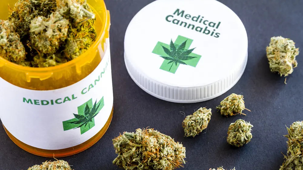 Qual è la situazione della cannabis terapeutica Italia?