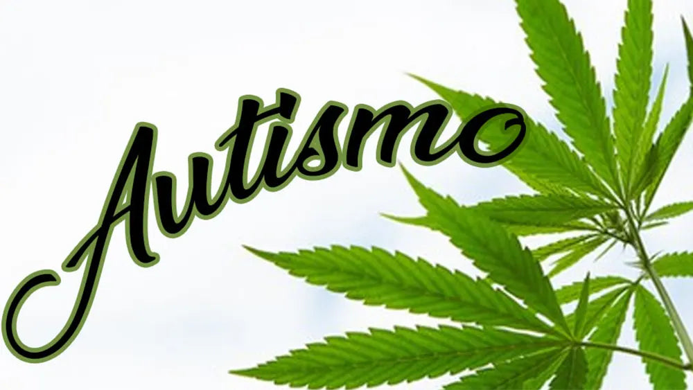 Cbd e cannabis nel trattamento dei disturbi comportamentali