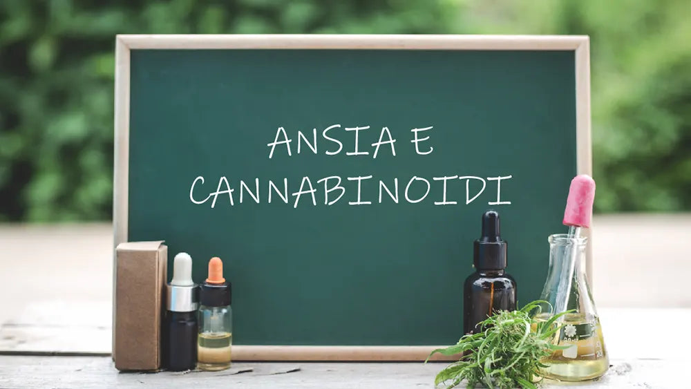 CBD e ansia: come funziona e cosa dice la ricerca