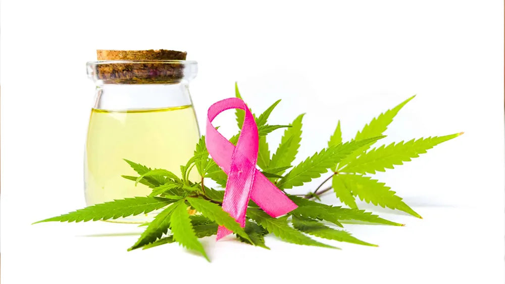 CBD e cancro al seno: cosa dice la ricerca scientifica nel 2026