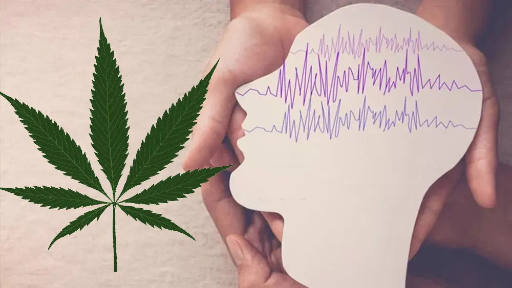 CBD ed epilessia refrattaria: risultati promettenti da studi clinici