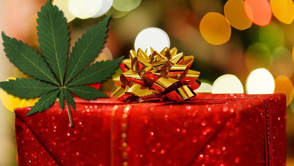 Regali a base di canapa e CBD: guida completa per ogni occasione