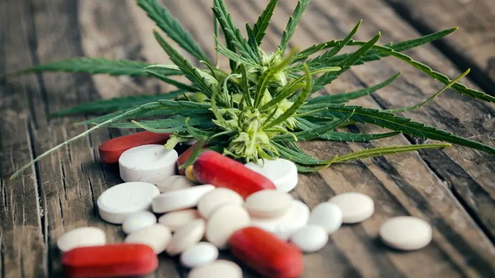 CBD e dipendenza da oppioidi: cosa dice la ricerca scientifica