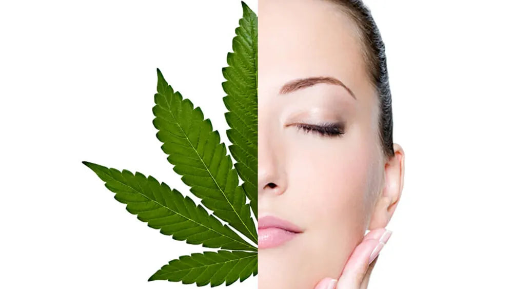 Cosmesi a base di canapa: i benefici