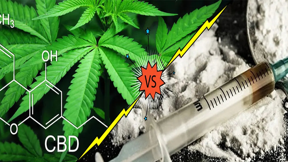 In Italia l’emergenza non è la cannabis legale, ma l’eroina e gli oppioidi