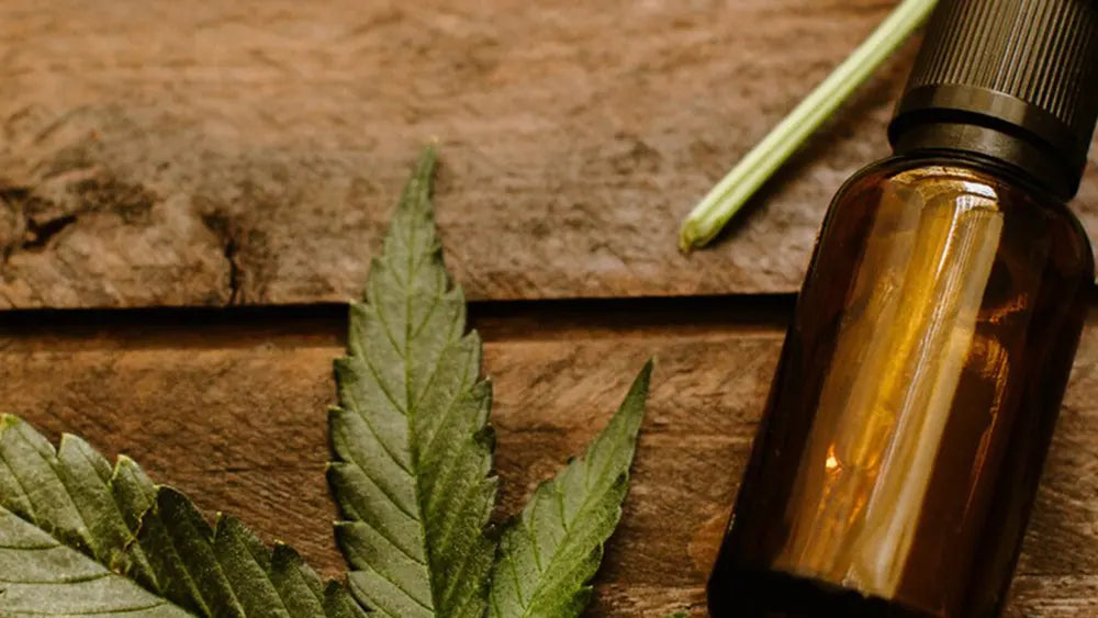 La cannabis, ultimo elisir di eterna giovinezza