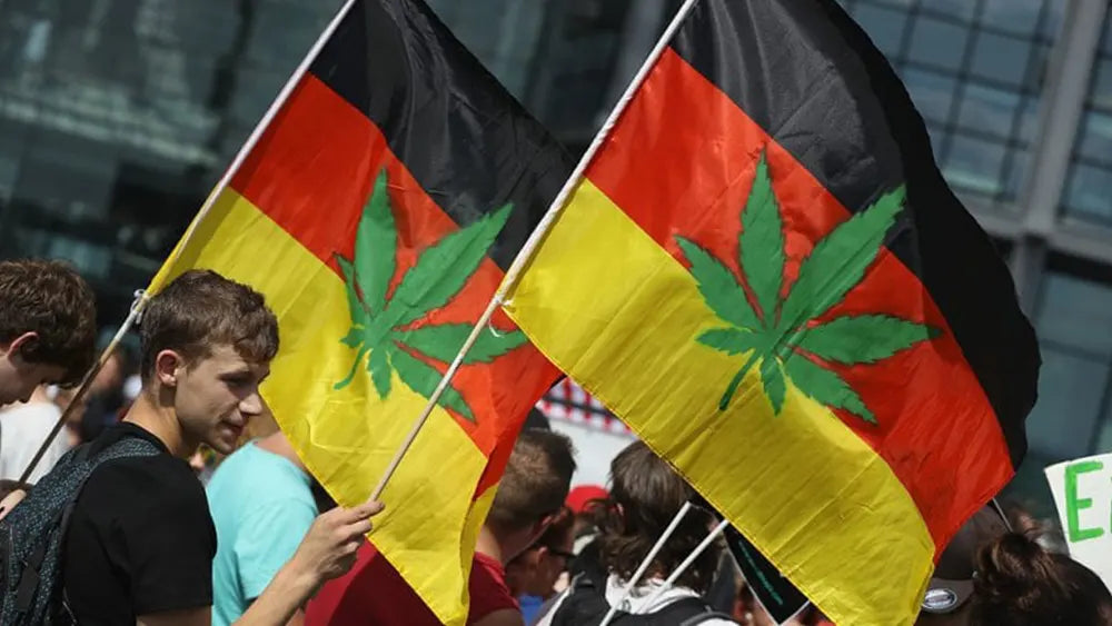 Il piano della Germania per legalizzare la Cannabis