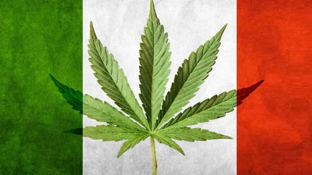 Legalizzazione: arriva la svolta?