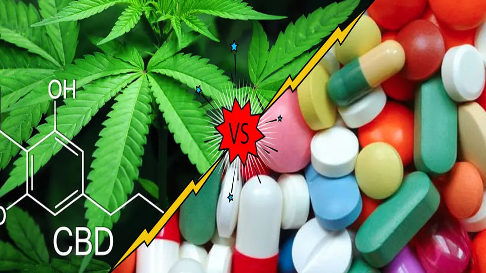 Dopo aver provato il CBD il 42% dei malati abbandona le medicine
