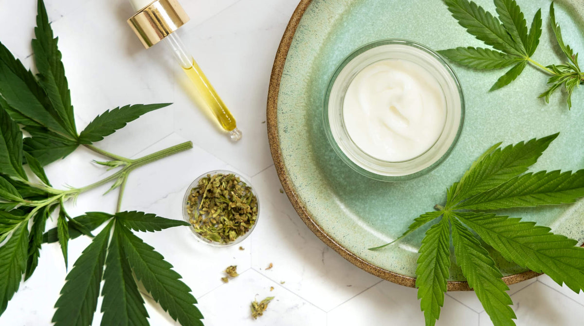 oliodi canapa benefici pelle viso anti age