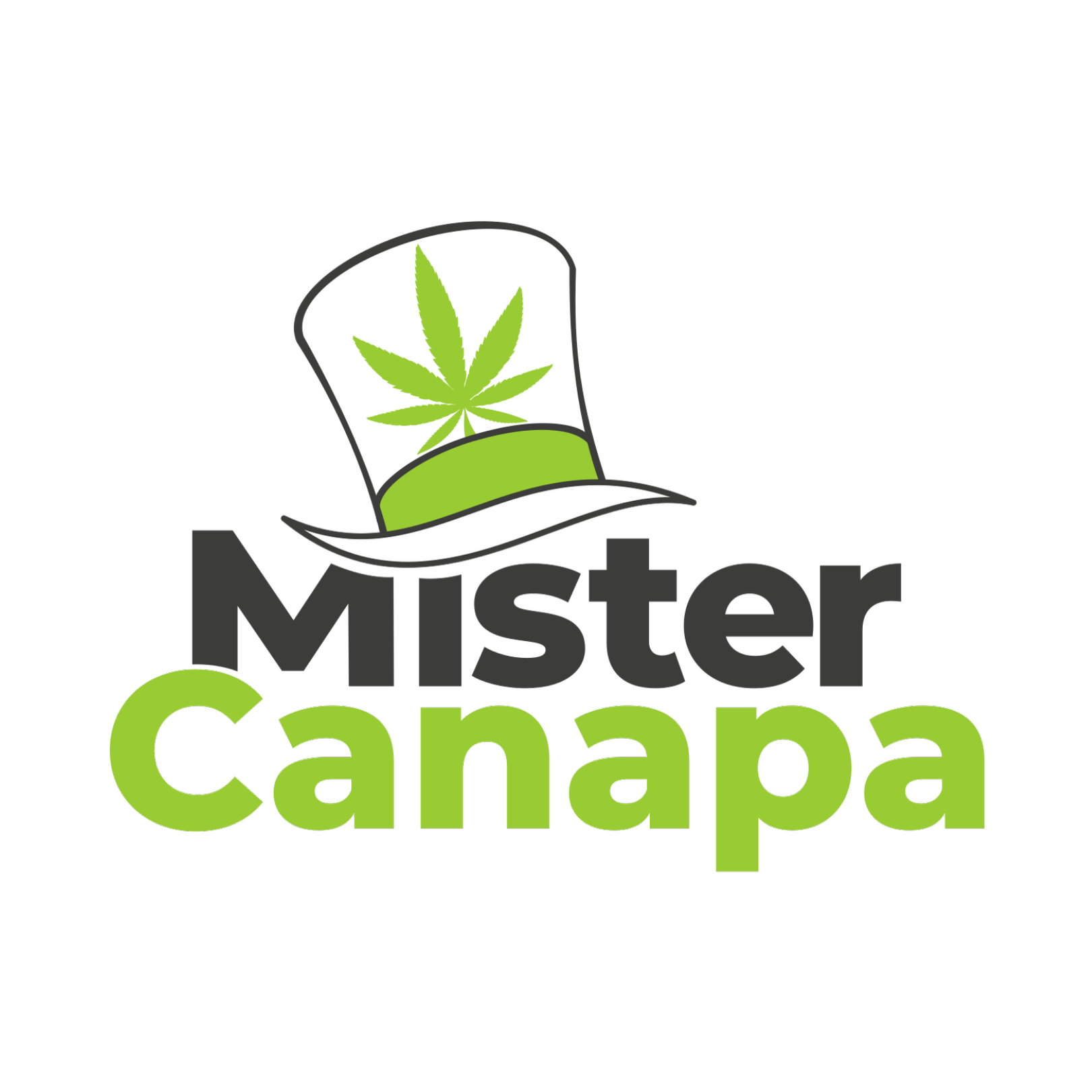 HHC e derivati: vietati ufficialmente in Italia Mister Canapa HHC e derivati: vietati ufficialmente in Italia Mister Canapa
