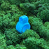 anello porta joint - azzurro