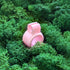anello porta joint - rosa