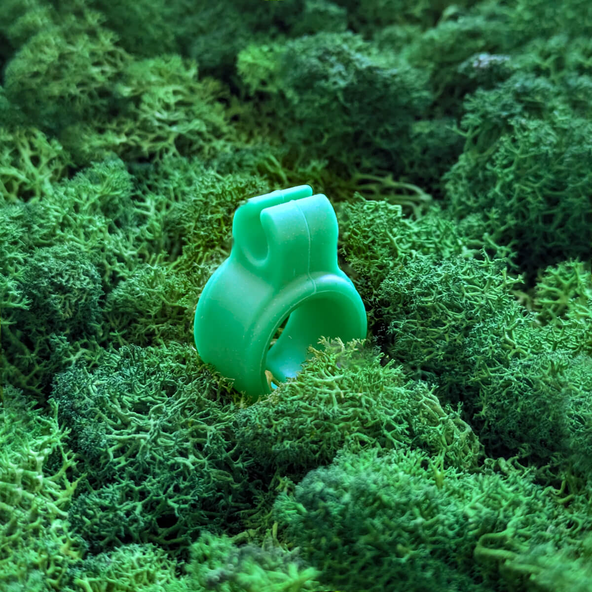anello porta joint - verde
