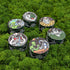 grinder space trip