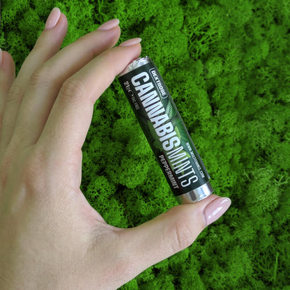Cannabis Mints - caramelle alla menta