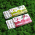 gomme da masticare con cbd chewing gum gusto eucalipto