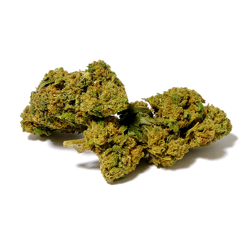 critical lemon 