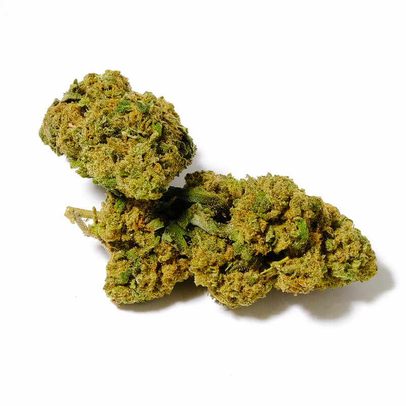 critical lemon 
