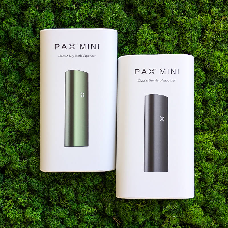 vaporizzatore pax mini