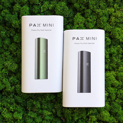 vaporizzatore pax mini
