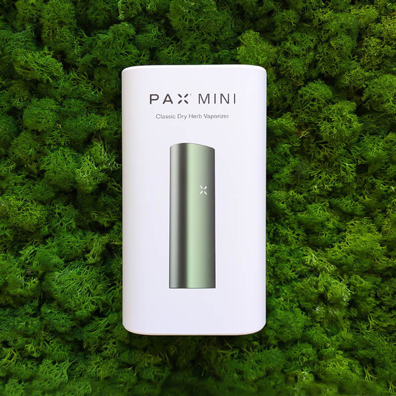 vaporizzatore pax mini