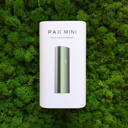 vaporizzatore pax mini