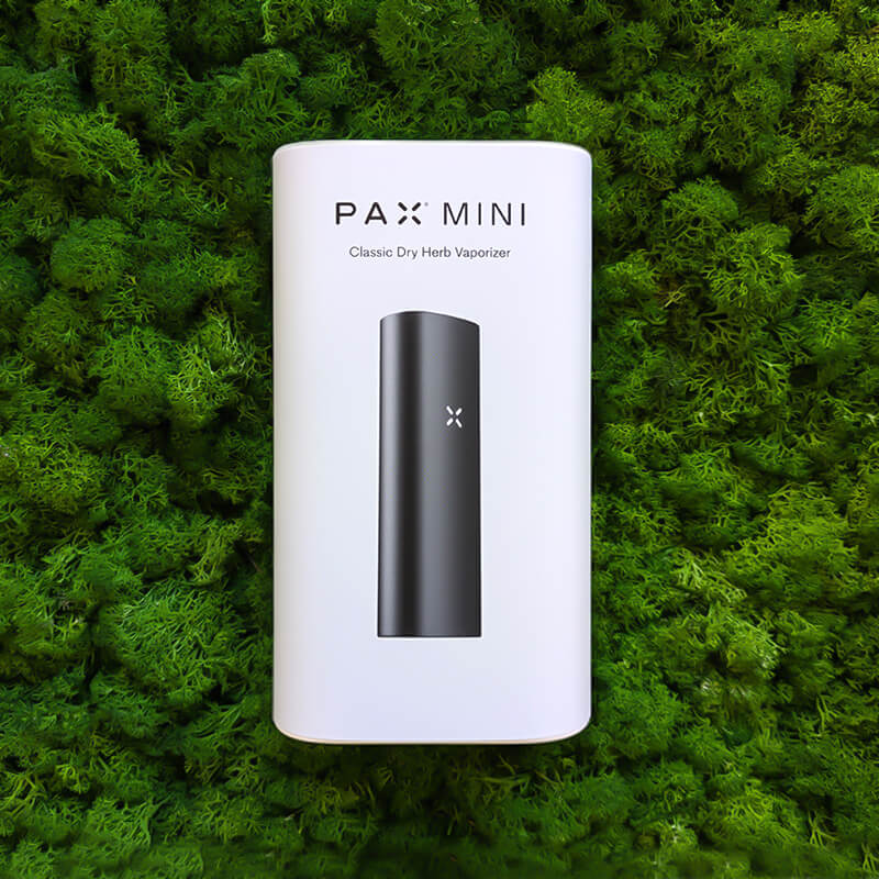 vaporizzatore pax mini