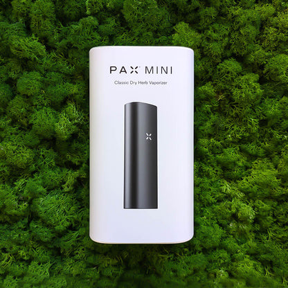 vaporizzatore pax mini
