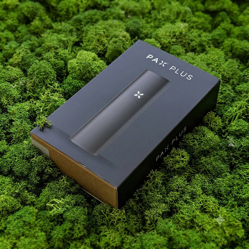 pax plus starter edition