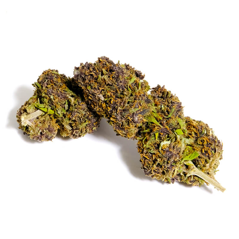 purple haze cbd