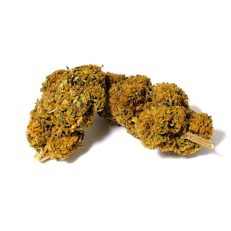 skunk